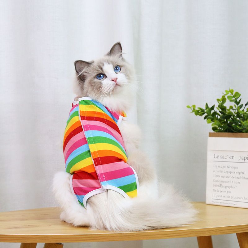 Colorful Stripes Pattern